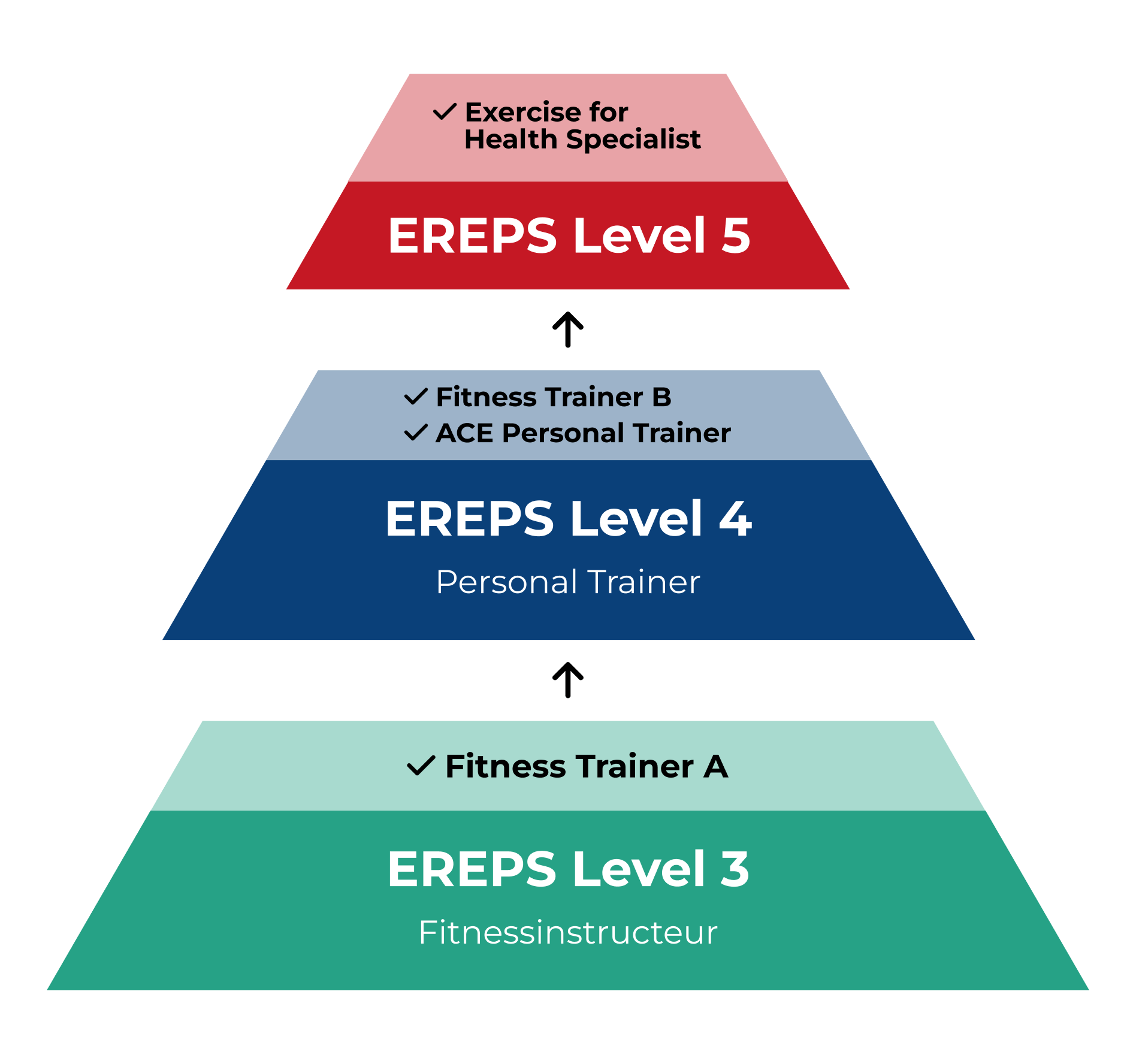 personal trainer cursus online