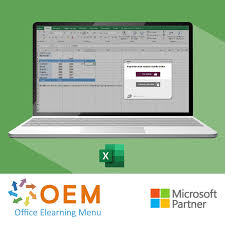 microsoft excel cursus