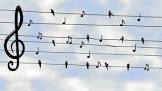 muzieknoten leren